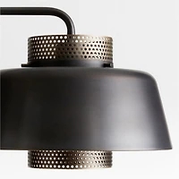 Colin Perforated Metal 2-Light Pendant