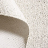 Colmar Performance Handwoven Ivory Area Rug 10'x14'