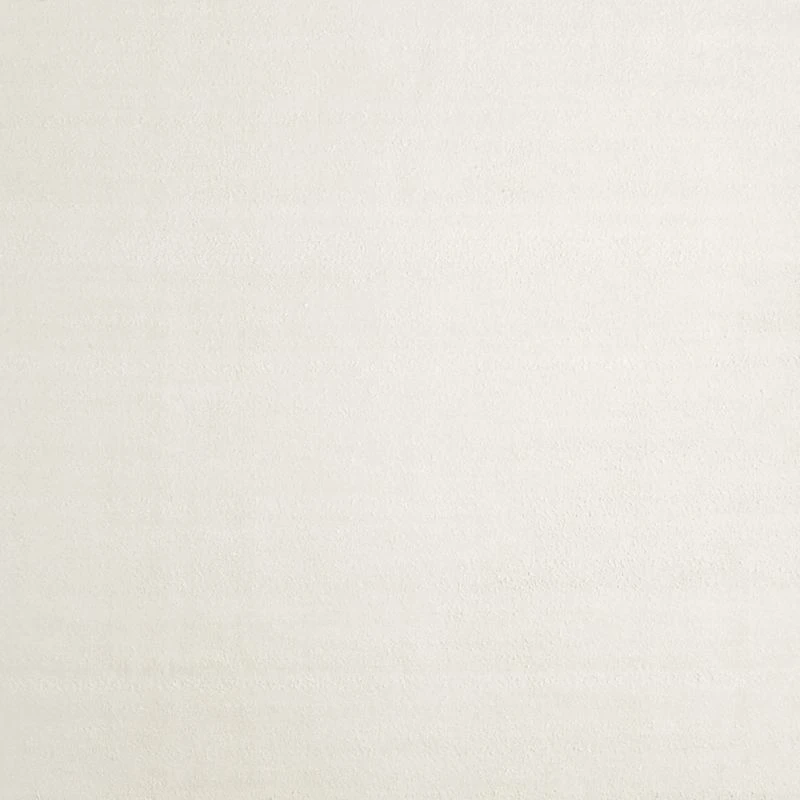 Colmar Performance Handwoven Ivory Area Rug 10'x14'