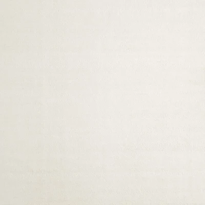 Colmar Performance Handwoven Ivory Area Rug 10'x14'