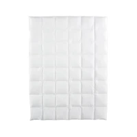 Kids Full/Queen Natural Harmony ™ All Season Down Alternative Duvet Insert