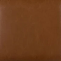 Dalton Leather and Cane Dining Chair