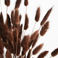 Dried Brown Bunny Tail Bunch