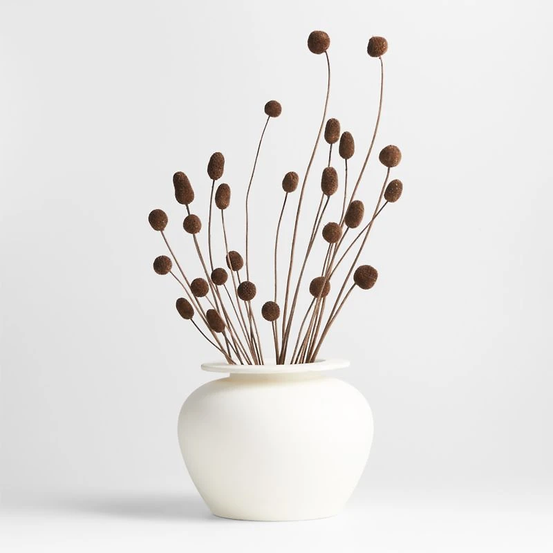Dried Brown Craspedia Bunch