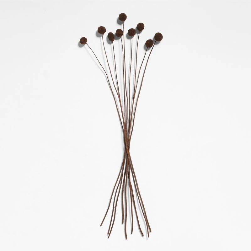 Dried Brown Craspedia Bunch