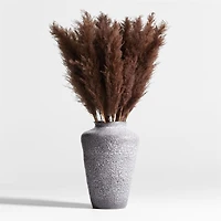 Dried Brown Grass Plume