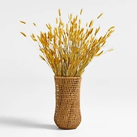 Goldenrod Yellow Dried Bunny Tail Bunch