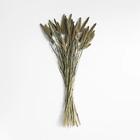 Green Dried Millet Plant Bunch