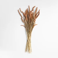 Dried Millet Plant Bunch