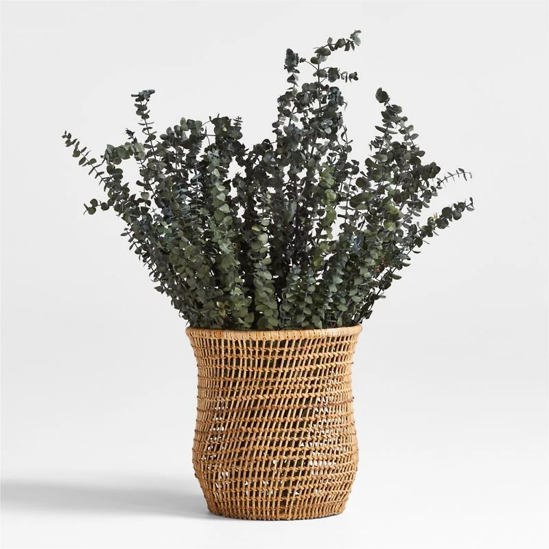 Olive Green Dried Eucalyptus Plant Bunch