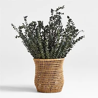 Olive Green Dried Eucalyptus Plant Bunch