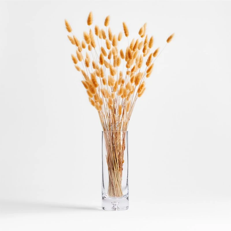 Camel Lagarus Dried Bunny Tail Bunch