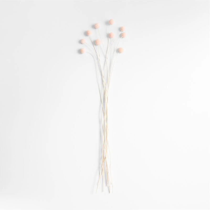 Pink Dried Craspedia Flower Bunch