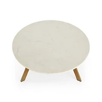 Elke White Marble and Brass Aluminum 35.5" Rectangular Coffee Table
