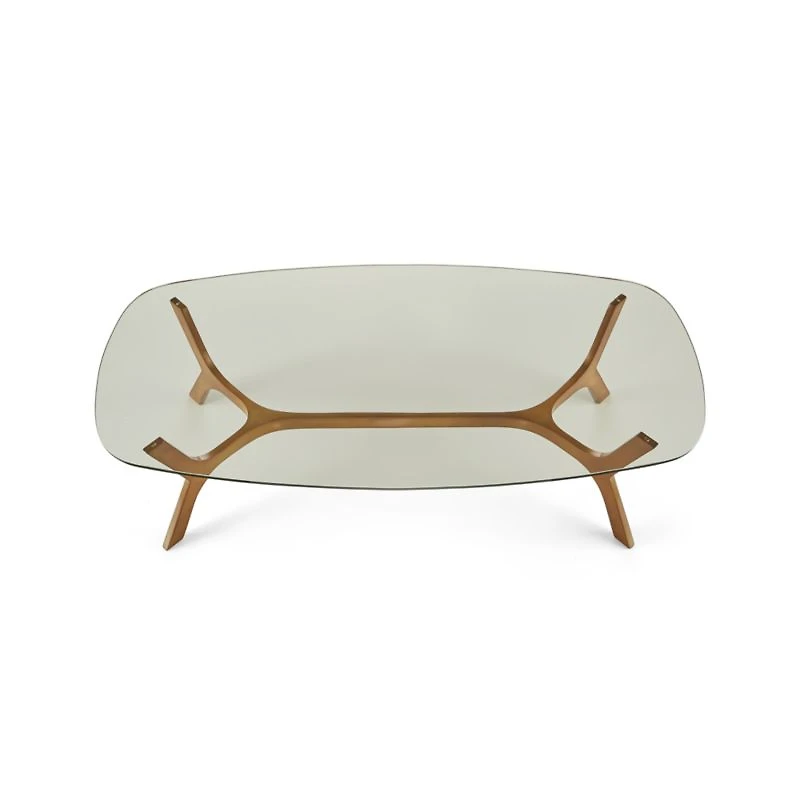 Elke Rectangular Glass Coffee Table with Brass Base