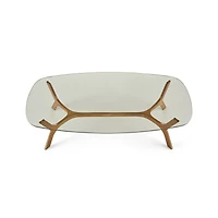 Elke Rectangular Glass Coffee Table with Brass Base