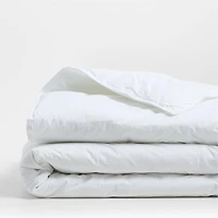 Essential Down-Alternative Twin/Twin XL Duvet Insert