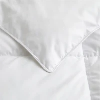 Essential Down-Alternative Twin/Twin XL Duvet Insert
