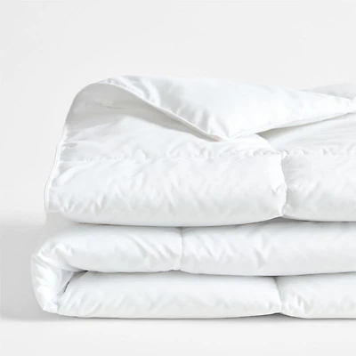 Essential Down-Alternative Twin/Twin XL Duvet Insert