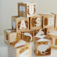 Etched Wooden Baby Blocks