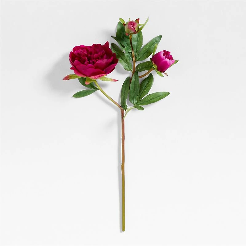 Faux Fuschia Peony Stem 20"