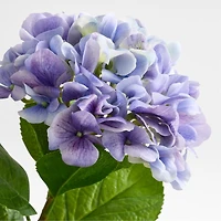 Faux Light Purple Hydrangea Stem 24.5"