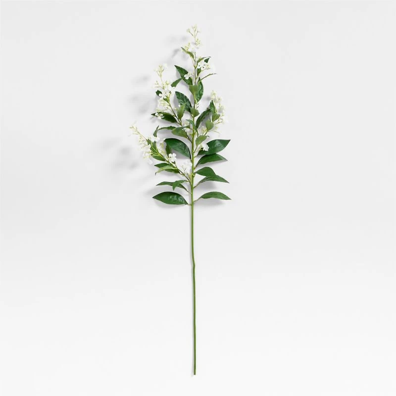 Faux White Cardamine Stem 49"