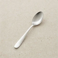 Fusion Dinner Spoon