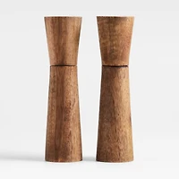 Calistoga Mango Wood Salt Mill by Gaby Dalkin