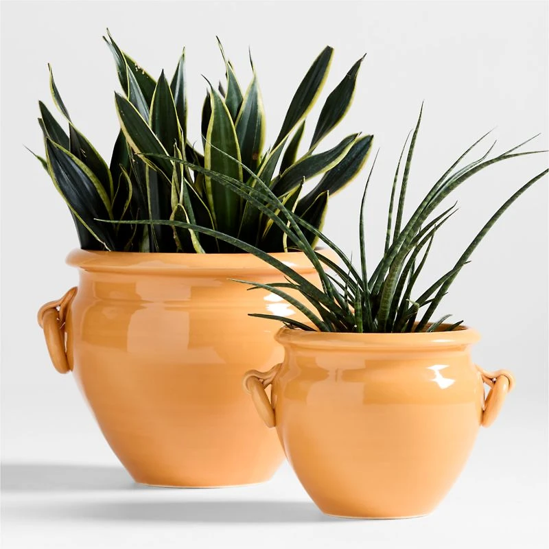 Genoa Large Tuscan Yellow Italian Ceramic Indoor/Outdoor Planter 16"x17"