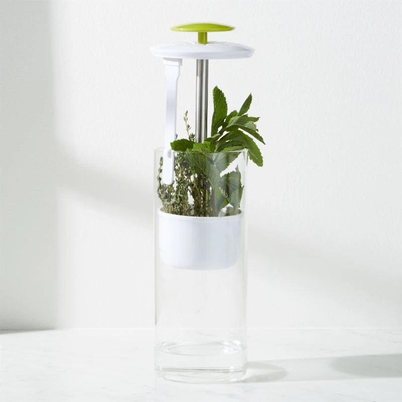 Glass Herb Keeper