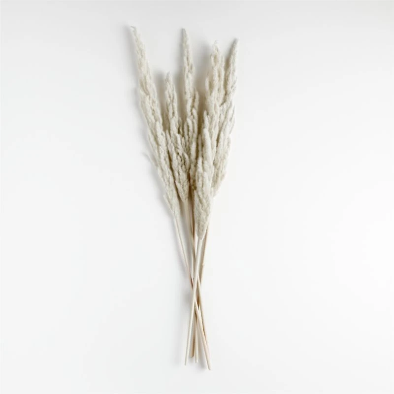 Grass Plume Dried Botanical Bunch