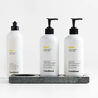 Lemon + Tangerine Hand Soap, Lotion and Dish Soap Set with Hayes Caddy