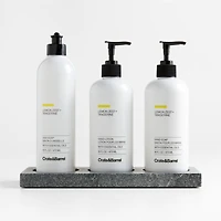 Lemon + Tangerine Hand Soap, Lotion and Dish Soap Set with Hayes Caddy