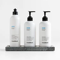 Sea Salt + Citron Hand Soap, Lotion and Dish Soap Set with Hayes Caddy
