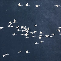 "Heading South" Blue Canvas 70"x47" Wall Art Print
