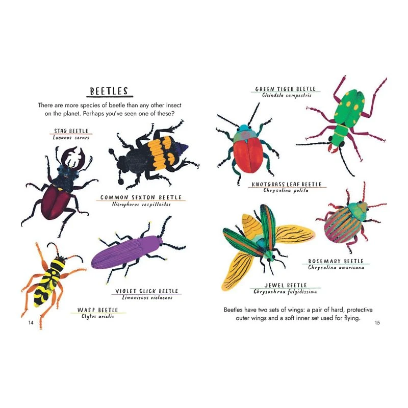 Hello Bugs Kids Book by Nina Chakrabarti