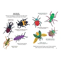 Hello Bugs Kids Book by Nina Chakrabarti