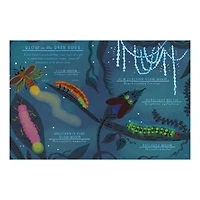 Hello Bugs Kids Book by Nina Chakrabarti