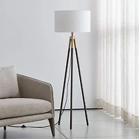 Hyde Brass and Bronze Metal Tripod Floor Lamp 61.5"