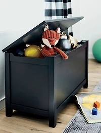 I'm Just a Charcoal Wooden Toy Box