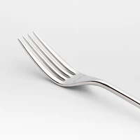 Tour Mirror Salad Fork