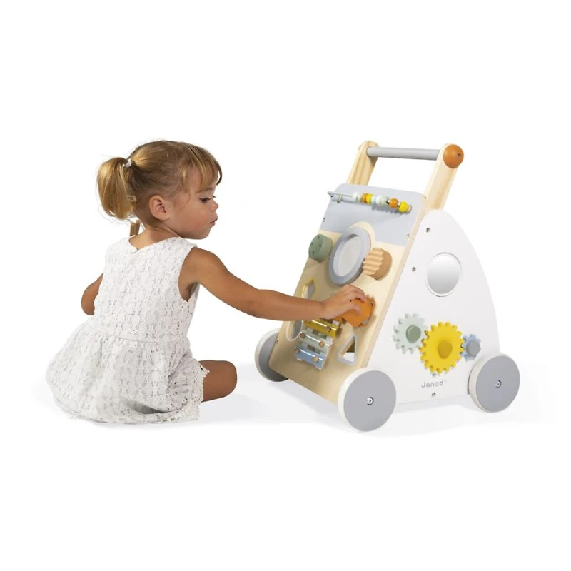 Janod Sweet Cocoon Multi Activity Baby Push Walker