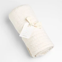 Baby's First Natural Organic Cotton Jersey Baby Crib Quilt