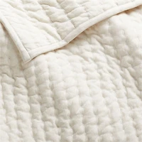 Baby's First Natural Organic Cotton Jersey Baby Crib Quilt