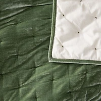 Juliet Agave Velvet Euro Sham
