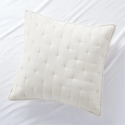 Juliet Birch Velvet Euro Sham