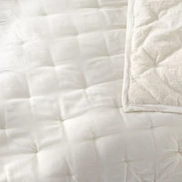 Juliet Birch Velvet Euro Sham