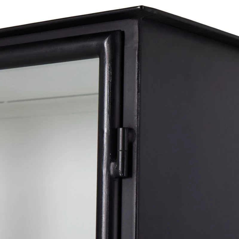 Kedzie 54" Black and White Iron Storage Display Cabinet