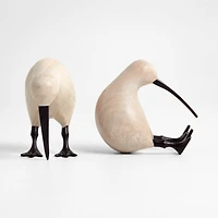 White Wood Kiwi Bird